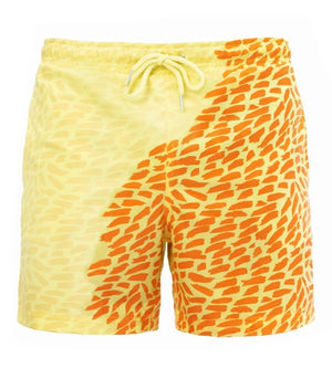 Color Shift Beach Shorts