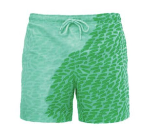 Color Shift Beach Shorts